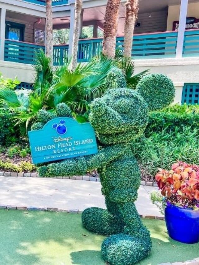 entrance to Disney's Hilton Head Island Resort