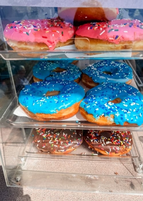 giant donuts in case