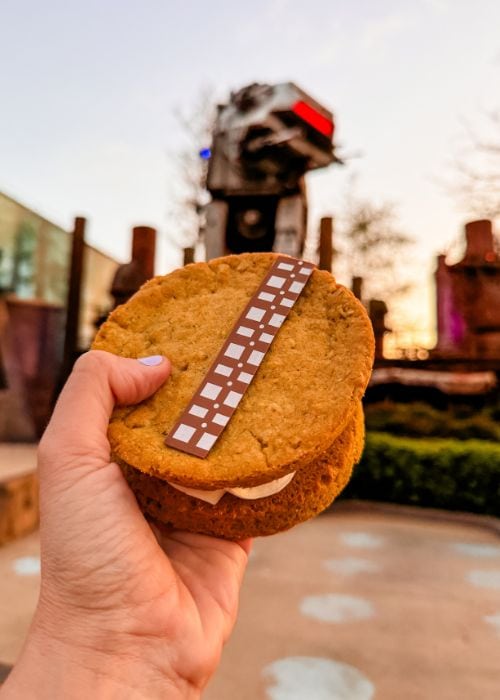 Wookie cookie in front of star wars land in Hollywood Studios